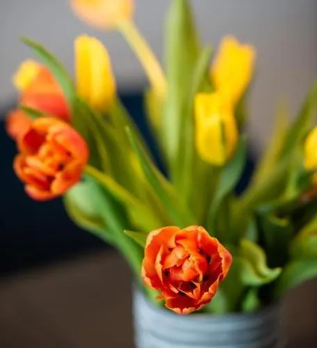 Amon Estel Lejlighed Dubrovnik