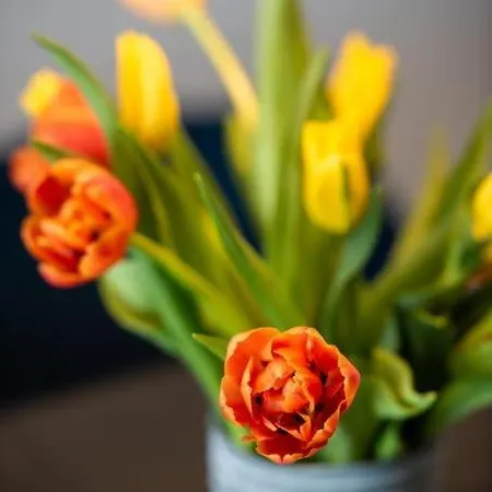 Amon Estel 公寓 杜布罗夫尼克